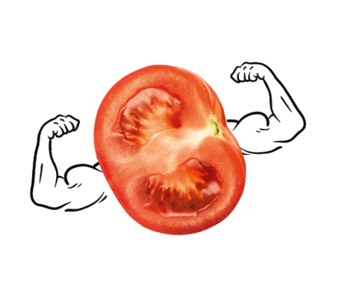 Pizza Muscles Sticker by Gustavo Gusto