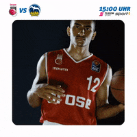 alba berlin gameday GIF by easyCredit Basketball Bundesliga