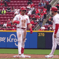 Sport Baseball GIF by Cincinnati Reds
