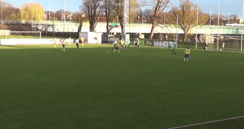 michalraka giphyupload GIF
