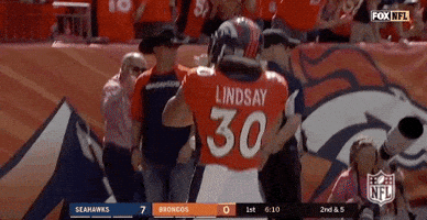 2018 Nfl Football GIF by NFL