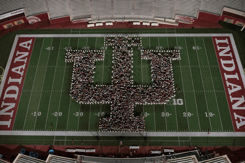 Football Spirit GIF by Indiana University Bloomington