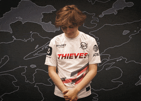 Esports Hair Flip GIF by 100 Thieves