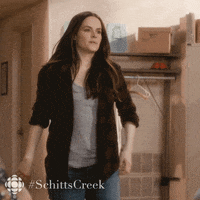 schitts creek comedy GIF by CBC