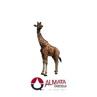 Glue Sticker by Almata Química