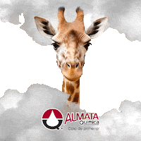 Glue Sticker by Almata Química