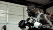 deontay wilder GIF by SHOWTIME Sports