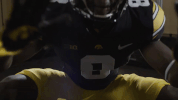 Iowa Hawkeyes Football GIF by University of Iowa Hawkeyes Athletics