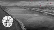 Beach Day Summer GIF by Fleischer Studios