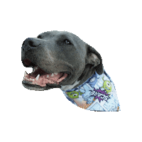 Monsters Inc Pit Sticker by Geekster Pets