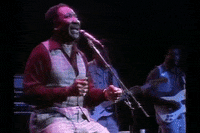 live GIF by Muddy Waters
