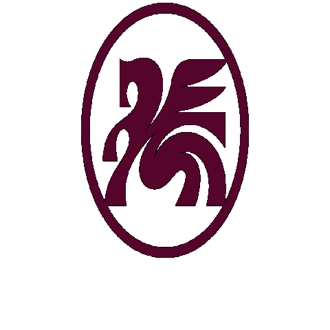 Dallas Dtfc Sticker by Dallas-Trinity-FC