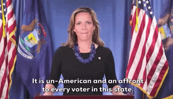 Michigan GIF by GIPHY News