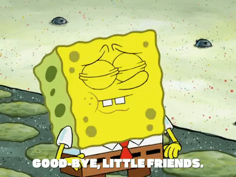season 8 episode 3 GIF by SpongeBob SquarePants