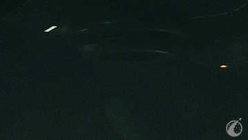 Star Citizen Target GIF