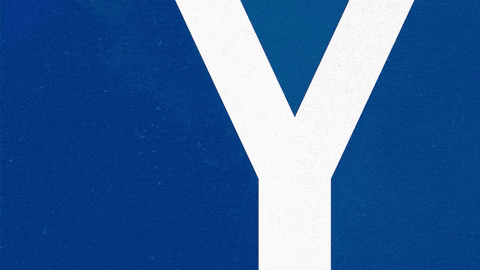 Sebastian Jung Soccer GIF by Karlsruher SC