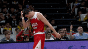 liga endesa basketball GIF by ACB