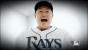 Excited Tampa Bay Rays GIF by MLB