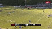 major league lacrosse GIF by Boston Cannons