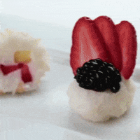 sushi GIF