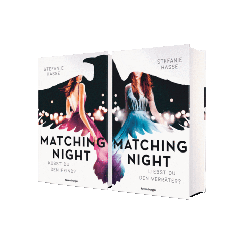stefaniehasse ravensburger stefanie hasse matching night Sticker