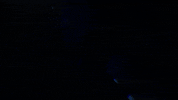 Football Sport GIF by Indianapolis Colts