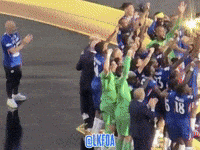 Premier League Football GIF