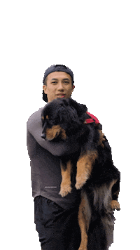 Golden Retriever Love Sticker