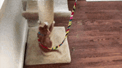 Football Playing GIF by Hallmark Channel