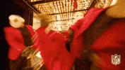 Super Bowl Football GIF by NFL