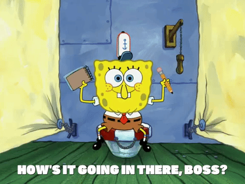 Hows It Going Season 6 GIF by SpongeBob SquarePants