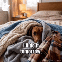 Sleep Dachshund GIF by Woofzara
