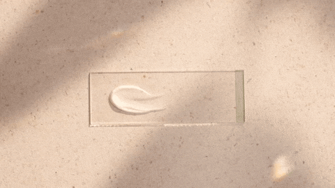 conorchalk giphyupload GIF
