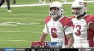 Arizona Cardinals Football GIF by NFL