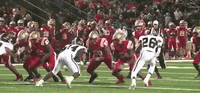 RomeWolvesFootball football school touchdown high GIF