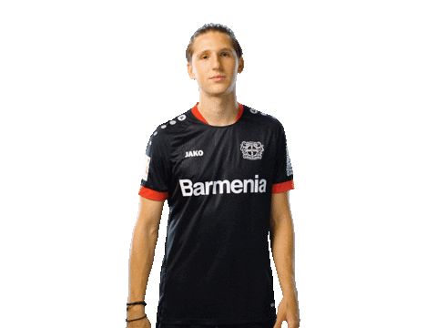 Hallo Bayer 04 Sticker by Bayer 04 Leverkusen