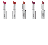 Swatches Matte Lipstick Sticker by Renee Cosmetics