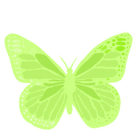 Spring Butterfly Sticker
