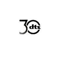 Logo Anniversary Sticker by DTS