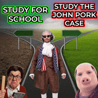Pork Pigman GIF