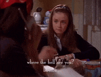season 2 netflix GIF by Gilmore Girls 
