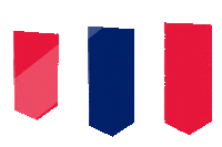 Chicago Marathon Running Sticker by Bank of America