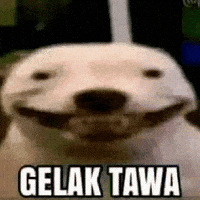 Andreasruzuu GIF