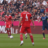 Football Soccer GIF by FC Bayern Munich