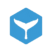 Whale Dolphin Sticker by Conservation Diver