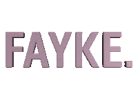 Lashes Eyeliner Sticker by FAYKE