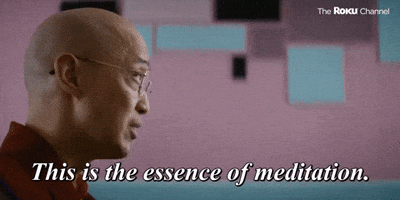 The Essence of Meditation