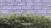 GIF by jorgemariozuleta