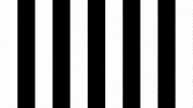 Happy Dance GIF by SK Sturm Graz