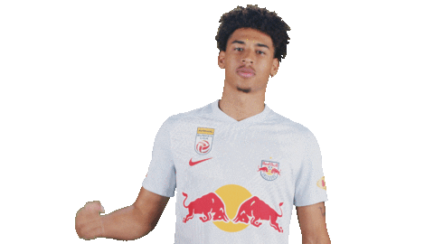 Football Sport Sticker by FC Red Bull Salzburg